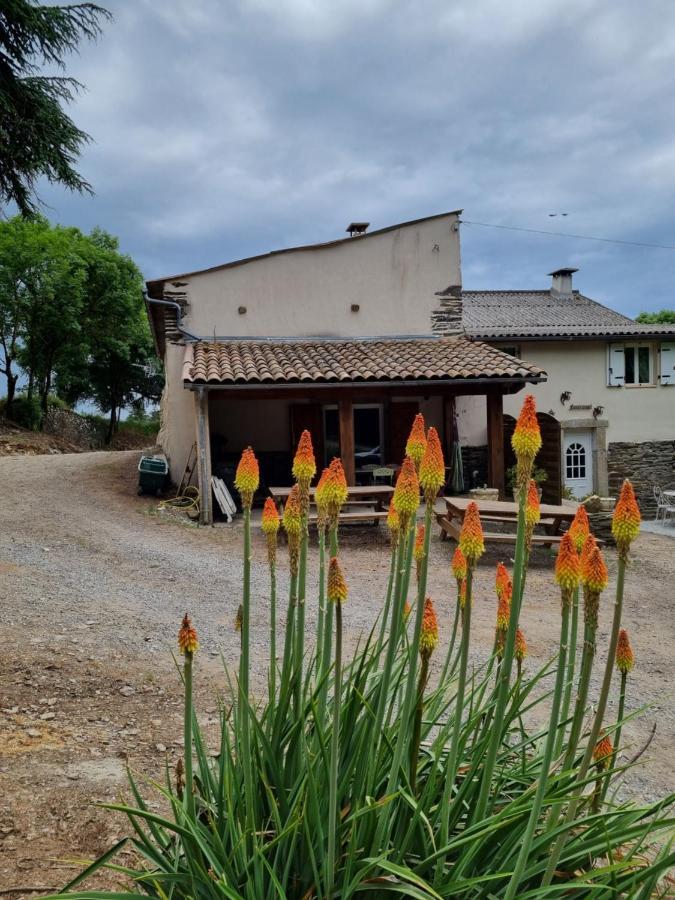L'Oeil De Carcassonne Villa Caudebronde Eksteriør billede